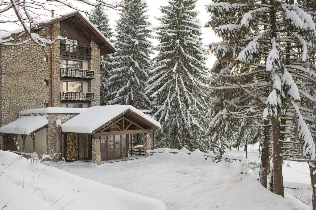 Ana Hotels Bradul Poiana Brașov Zewnętrze zdjęcie